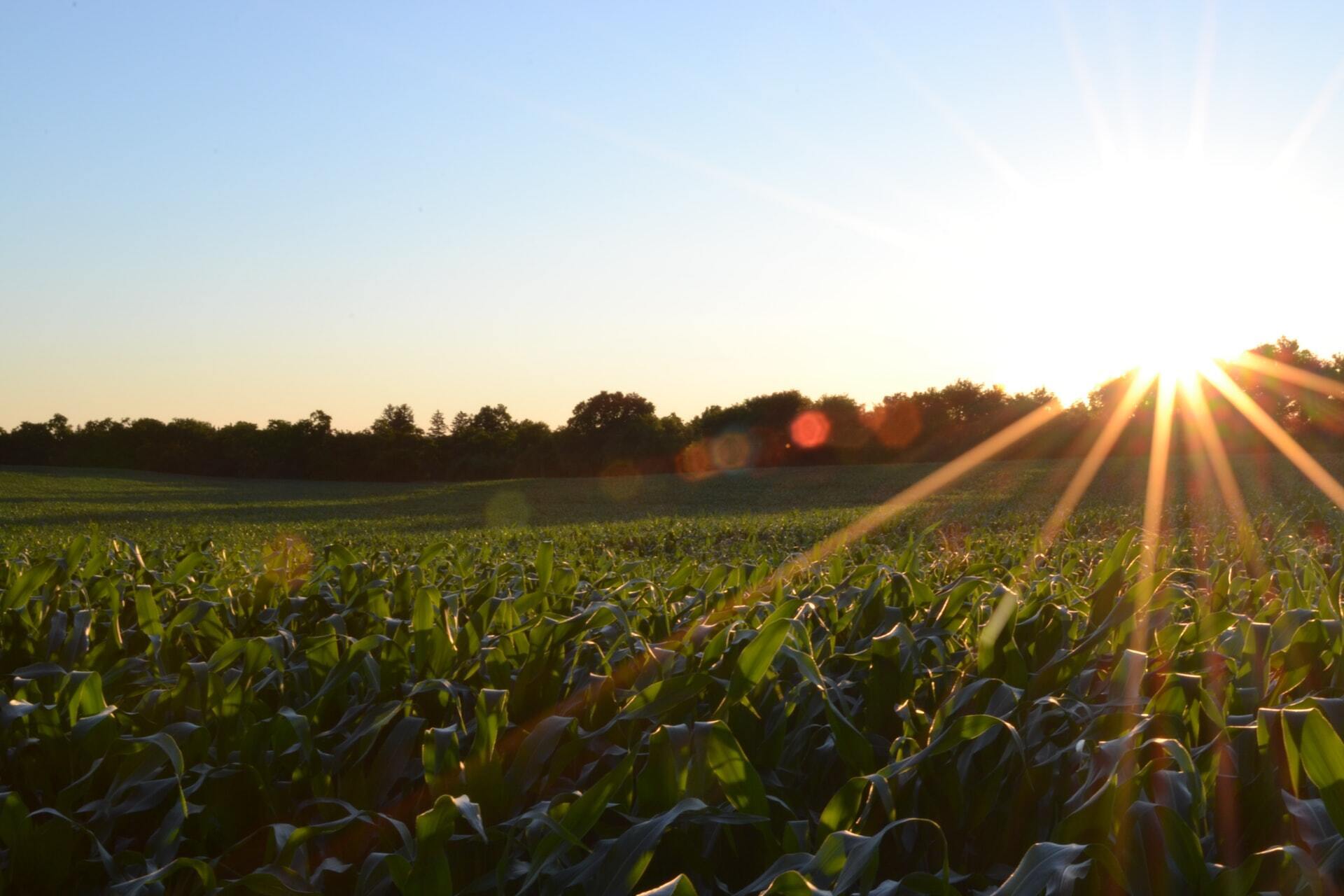 Nutrisphere-N Achieves 86% reduction in ammonia release