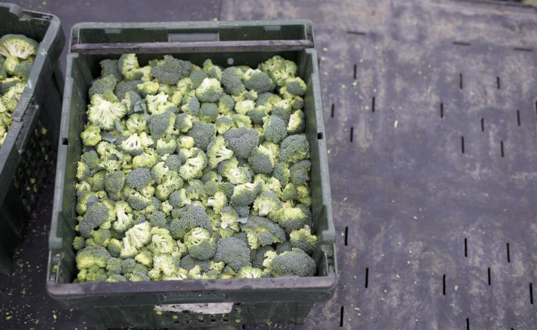 Broccoliinbox