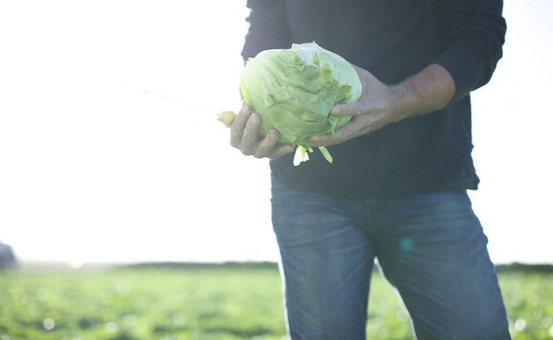 Holdinglettucehead