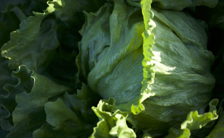 Lettuceheaddetail