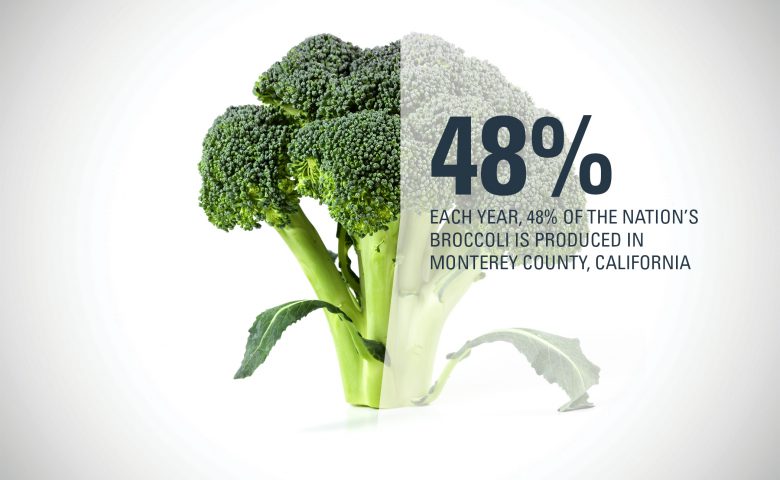 Monterey County Broccoli