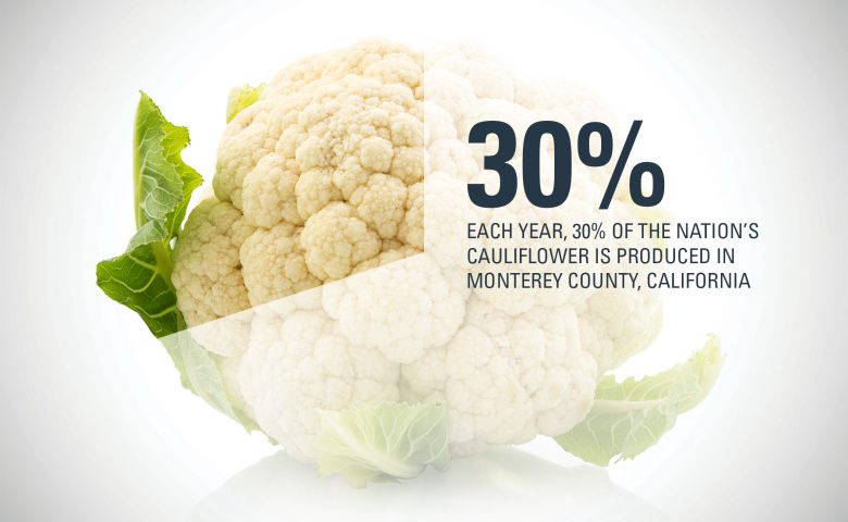 Monterey County Cauliflower