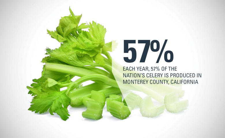 Monterey County Celery