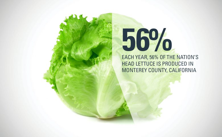 Monterey County Lettuce