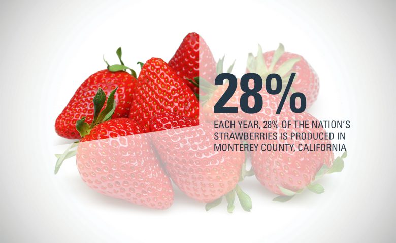 Monterey County Strawberry