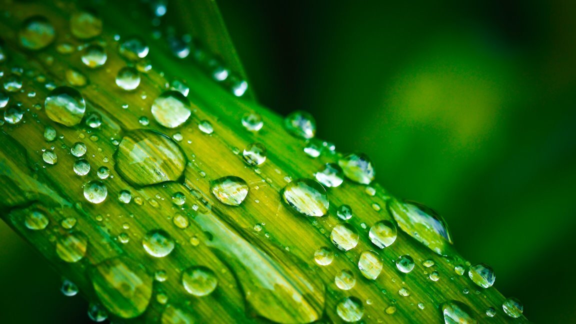 Exploring BioStimulants - Demand, Growth & Challenges