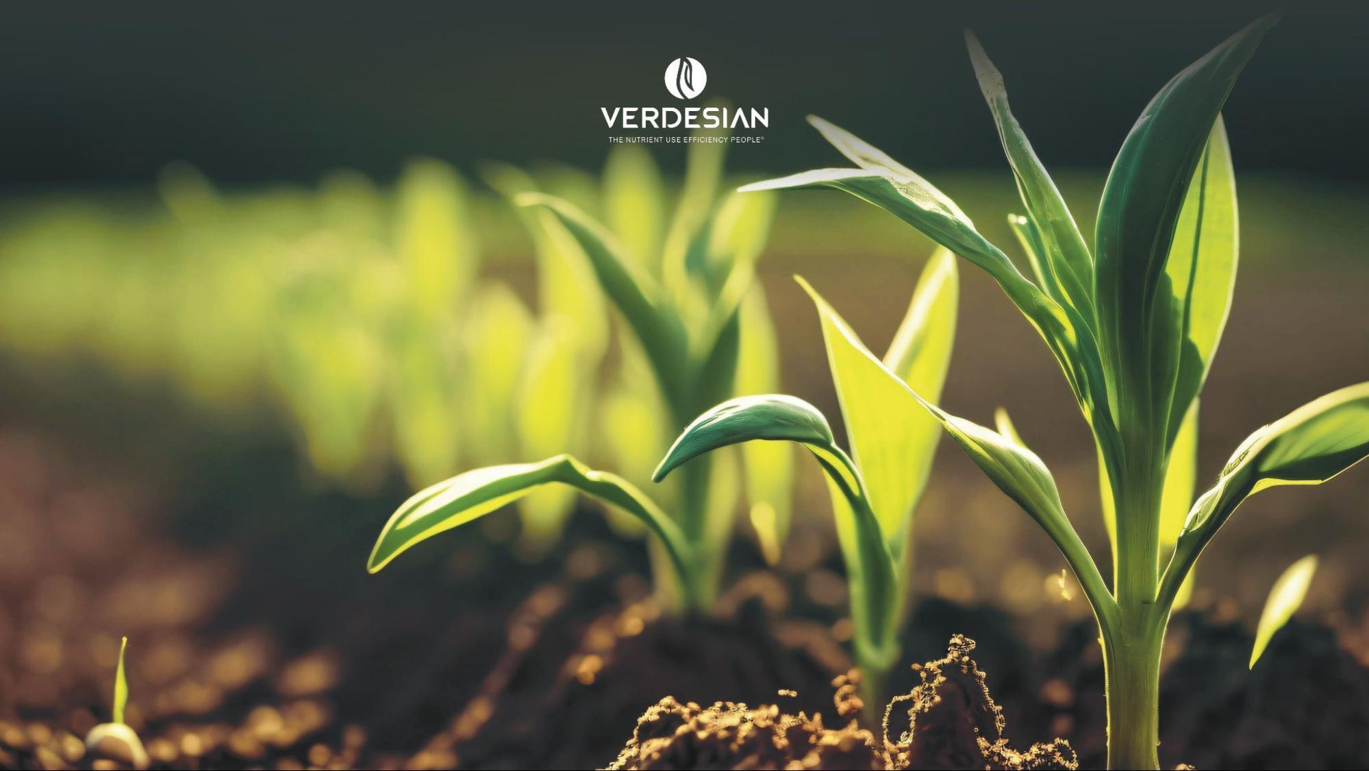 Embracing Our Global Responsibility